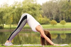 Ashtanga, Vinayasa Yoga