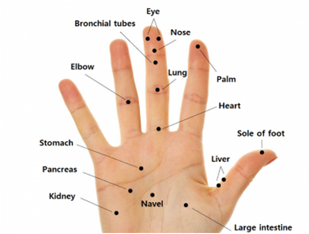 hand-posture-1