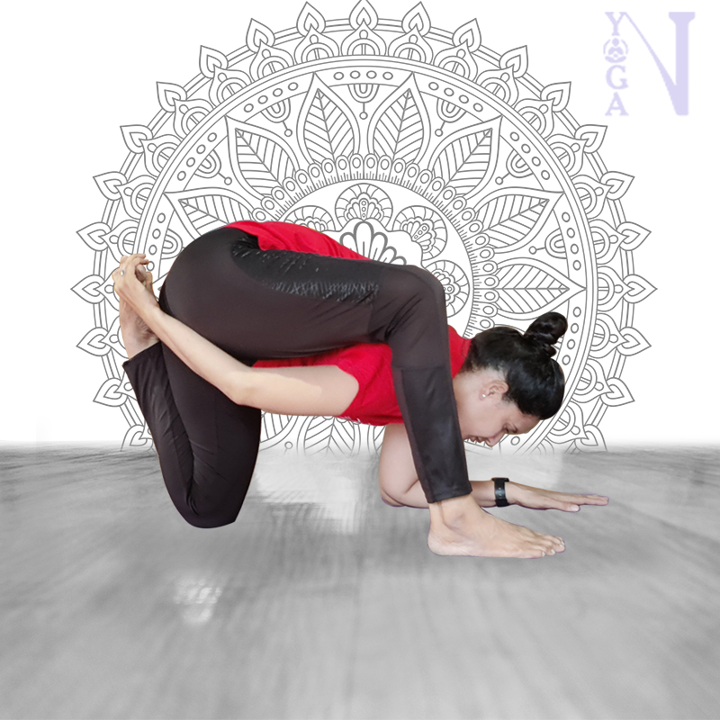 Hormonal Balance by Yoga & Pranayam